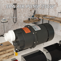 Pompe à air électrique DXD-6K 750W pour bain à remous, spa, souffleur de bulles, mini-baignoire autoportante, combo jacuzzi, massage par air
