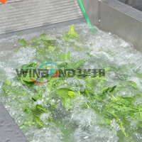 Hydroxyl Fruit En Groente Verwerkingslijn Reinigingsdroogsortering Waxmachine Citrusvruchten Wasmachine