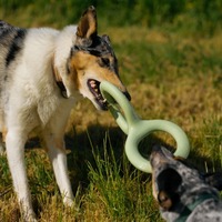 Jouet de traction interactif en TPR durable pour chien, pour l'exercice, le jeu de traction, la mastication et le soulagement du stress, pour chiens de taille moyenne - Vente en gros d'articles pour animaux de compagnie