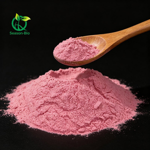 Poudre d'extrait de cerise de <span class=keywords><strong>Barbade</strong></span> Malpighia Glabra en vrac, Vitamine C 17% 25%, Extrait de cerise Acerola - Product Image 2