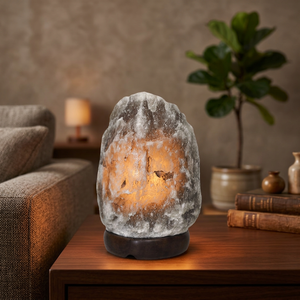 Lampe de table en sel gris de l'Himalaya naturel sculpté avec variateur d'intensité, sur base en bois, vente en gros OEM - Product Image 1
