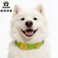 Colliers pour animaux de compagnie en cuir PU style princesse à petites fleurs, vente directe d'usine, best-seller transfrontalier universel pour chats et chiens