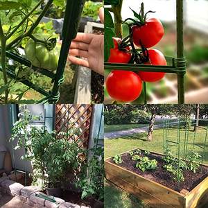 Treillis de jardin multifonctionnel en acier à revêtement vert déformable Plantes Légumes Grimpants Support triangulaire en fer - Product Image 6