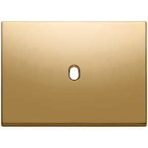 Vintage Gold <b>Plate</b> Wall <b>Switch</b> 3Mx1 12.5x9.5cm 1.4cm Height - Product Image 1
