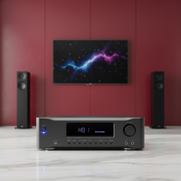 Receiver Amplifier AV Home Theater 9.1CH HD 600W Bertenaga dengan Radio FM Desain Kelas D Konstruksi Plastik & Logam
