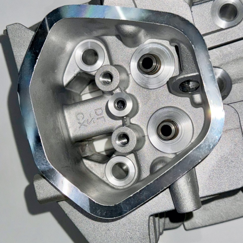 OEM Die Casting Aluminum Gasoline Engine