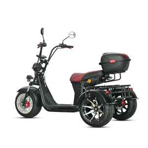 Scooter électrique Citycoco Loyal CE 60V 4000W 2000W, meilleur prix, pneus larges, vélo électrique, scooter chopper, tricycle à trois roues - Product Image 1