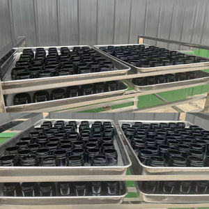 Suplemen ekstrak emas Shilajit asli kustom pabrik berbagai mineral asam Fulvic Resin Shilajit Himalaya murni - Product Image 2