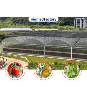 Serre agricole commerciale en film plastique PE multispan, serre gothique tropicale pour la culture des tomates - Product Image 2
