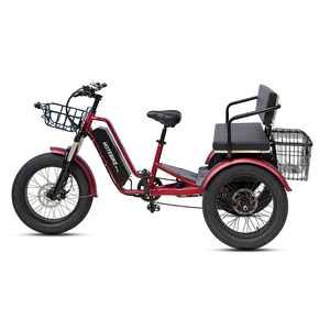 Tricycle de passager haut de gamme 750w deux places avec panier vélo électrique à 3 roues/vélo <span class=keywords><strong>cargo</strong></span> <span class=keywords><strong>longtail</strong></span> électrique - Product Image 1