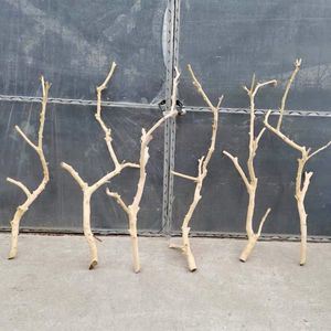 Cành cây khô sỉ, nhiều kích cỡ, dùng trang trí trần nhà, làm móc treo quần áo, quà tặng tốt nghiệp, quà tặng Ngày của Cha, quà tặng Ngày của Mẹ - Product Image 3