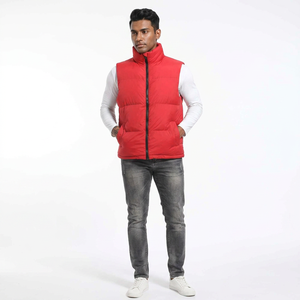 Blouson matelassé en toile streetwear hiver 2025 pour homme avec col montant, logo frontal, respirant et séchage rapide, style haute couture - Product Image 1