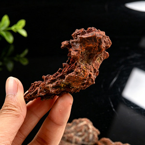 Coprolita Natural en Bruto, Heces de Dinosaurio Fossilizadas, Minerales Crudos, Piedra Mascota de la Tierra - Product Image 5