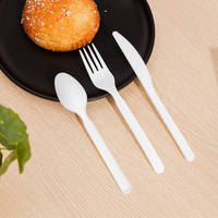 Ensembles de couverts jetables, compostables, biodégradables, écologiques et durables pour la restauration en gros et les mariages