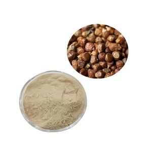 Extrait de graines de paradis (Aframomum Melegueta) de qualité alimentaire supérieure, poudre de complément avec 12,5 % de 6-paradol - Product Image 3