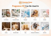 Huile parfumée très vendue pour le e-commerce, cycle de livraison stable, étiquette et spécifications personnalisées