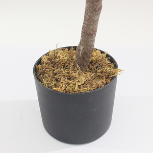 Arbre à caoutchouc artificiel <span class=keywords><strong>vente</strong></span> directe en usine de plantes à caoutchouc de haute qualité arrangement floral <span class=keywords><strong>d</strong></span>'intérieur de haute qualité - Product Image 4