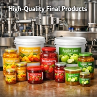 Automatische fruitjam productielijn, machine voor het maken van bosbessen- en aardbeienjam puree