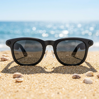 Gafas Inteligentes con Cámara y Traducción de Video, Asistente de Voz ChatGPT, Proveedor de Marca Privada OEM