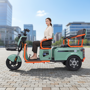 Paige Tricycle électrique cargo vente d'usine tricycle trois roues pour adulte bébé motorisé moto enfant <span class=keywords><strong>1000cc</strong></span> en vélo mexicain - Product Image 1