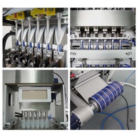 Machine de remplissage et d'emballage automatique VFFS multi-pistes pour poudres d'électrolytes en sachets, 6 voies, pour mélange d'hydratation de haute performance
