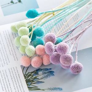 Boule de Billy séchée, craspédie sèche, fleurs dorées conservées, boutons de Billy pour Arrangement Floral, mariage à domicile - Product Image 1