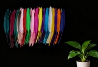 Plumes d'oie naturelles, 30 à 35 cm, pour décoration artisanale, accessoires de danse