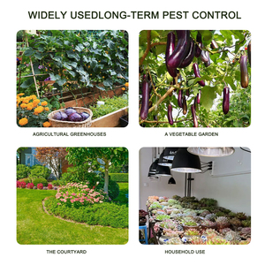 Hiệu quả kiểm soát côn trùng gián Fly <span class=keywords><strong>TRAP</strong></span> có thể gập lại kiểm soát dịch hại Pantry Moth Fly dính bẫy - Product Image 6