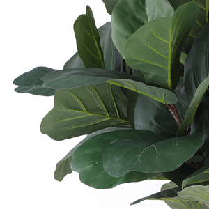 Trung Quốc nhà máy bán sỉ Top bán nhựa nhân tạo <span class=keywords><strong>fiddle</strong></span> lá cây cho ngoài trời trang trí - Product Image 4