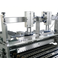 Nouvelle machine de production de sucettes et de brochettes en acier inoxydable pour fruits confits à l'aubépine