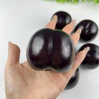 Zwarte Bryn Plum Kunstmatig Eco-vriendelijk Schuim Fruitmodel voor Thanksgiving, Terug naar School, Keuken, Huisdecoratie, Fotografie Props