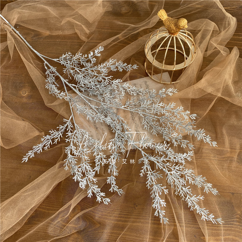 Oreilles de riz