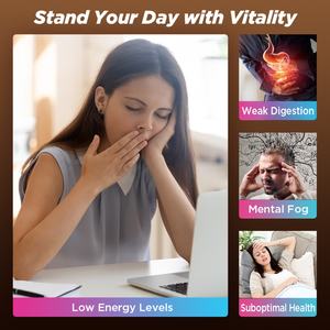 Café de Hongos Chinaherbs, Café Latte Instantáneo Orgánico, Café en Polvo con Mezcla de Hongos de Marca Propia, Armonía de 12 Superalimentos - Product Image 6