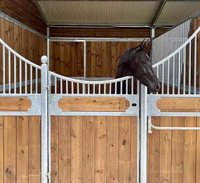 Bambou noir standard galvanisé par porte soudée légère économique de style européen pour des écuries de cheval belles et durables