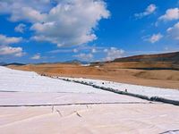 Géotextile non tissé résistant aux perforations pour le drainage et la séparation