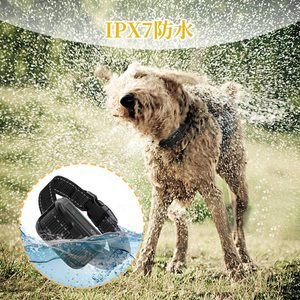 <span class=keywords><strong>Collier</strong></span> <span class=keywords><strong>anti</strong></span>-<span class=keywords><strong>aboiement</strong></span> imperméable de chien de contrôle d'<span class=keywords><strong>aboiement</strong></span> de <span class=keywords><strong>prix</strong></span> usine pour de petits moyens grands chiens - Product Image 5