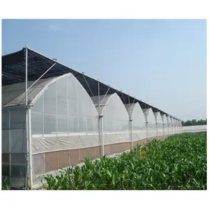 High Quality 200 Miron Film Tunnel Arch Green Houses For Vegetable Used