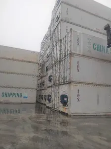 Contenitore congelatore da 20 piedi 40 piedi usato Container Reefer disponibili per la vendita a tariffe molto buone e convenienti - Product Image 5