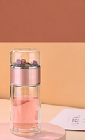 Bouteille Isotherme Transparente à Double Paroi en Verre avec Infuseur à Thé 500ml Portable Résistante à la Chaleur Anti-Fuite avec Bouchon à Vis pour l'Extérieur