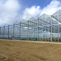 Serre hydroponique en polycarbonate moderne Sinok Serres agricoles pour tomate fraise laitue Serre Agricole