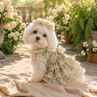 Vêtements personnalisés pour chiens et chats, robe à volants en dentelle à imprimé floral, ensemble harnais couronne de fleurs, vêtements pour chiots et chatons, vente en gros OEM