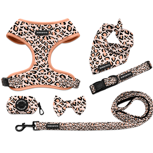 Nueva llegada colores de moda al por mayor sin tirar ajustable de neopreno gato mascota perro arnés correa de plomo <span class=keywords><strong>collar</strong></span> conjunto - Product Image 4