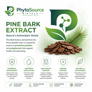 Extrait de Corteil de Pin de Qualité Alimentaire en Vrac - Type Standardisé OPC 95% Ingrédient de Complément Herbal en Bouteille - Product Image 4