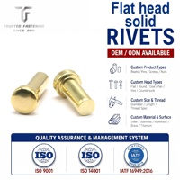 TianFang Factory Price Custom Fasteners Brass Rivets Solid Rivets Flat Head Rivets ISO 9001 Certified for Leather Craft