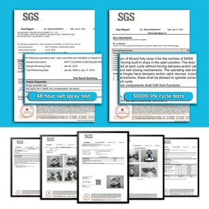 <span class=keywords><strong>Bisagras</strong></span> para Muebles de 35 mm, <span class=keywords><strong>Bisagras</strong></span> Hidráulicas de Acero para <span class=keywords><strong>Puertas</strong></span> de Armarios de <span class=keywords><strong>Cocina</strong></span> con Cierre Suave, para Mall Park - Product Image 4