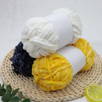 Wholesale Shiny Bright Fancy Chenille Yarn 100g DIY Hand Knitting 5mm Chunky Chenille Yarn for Bag Blanket