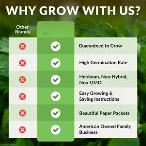 Ensemble <span class=keywords><strong>de</strong></span> 5 variétés <span class=keywords><strong>de</strong></span> graines <span class=keywords><strong>de</strong></span> tomates anciennes colorées, non-OGM, pour pot suspendu au sol, incluant Black Krim et Great White Aunt - Product Image 4