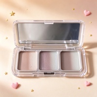 Palet Makeup Kosmetik Persegi Panjang Kosong Berbahan ABS dengan Tutup Cermin Tahan Lama, Label Pribadi untuk Pesanan Grosir, Cocok untuk Perlengkapan Kecantikan Liburan