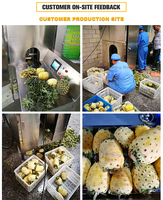 Automatische industriële machine voor het schillen van grote vruchten zoals citroenen, sinaasappels, appels, mango's en citrusvruchten.