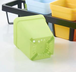 Support de pot à succulentes en gros à 24 cellules avec plateau de germination pour pots de pépinière carrés de 7x8 cm - Product Image 4